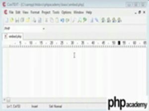 Embedding php small